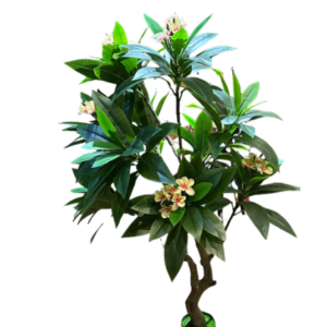 Copac ornamental cu flori